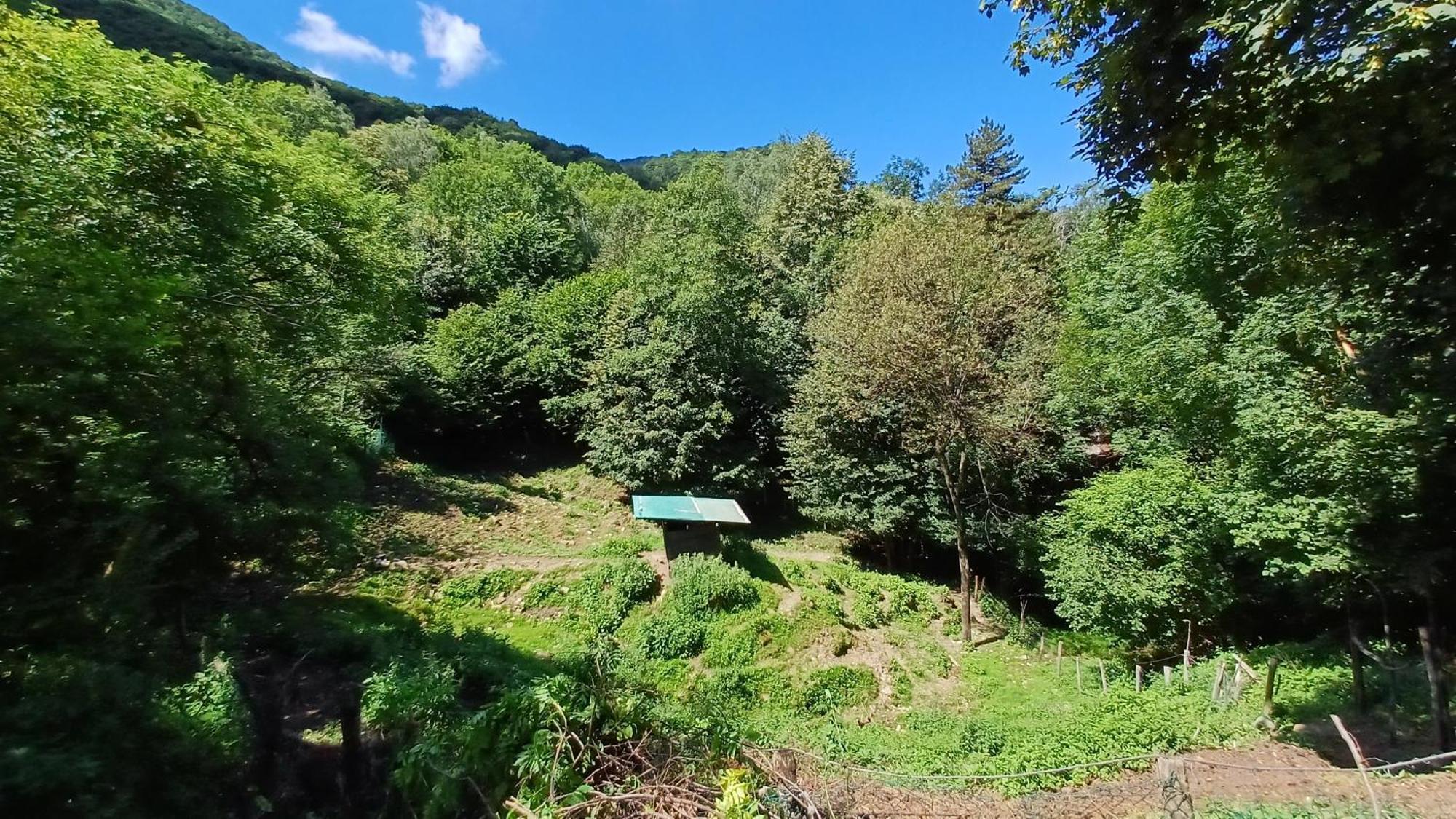 La Stanza Del Bosco Apartment Arcumeggia ภายนอก รูปภาพ