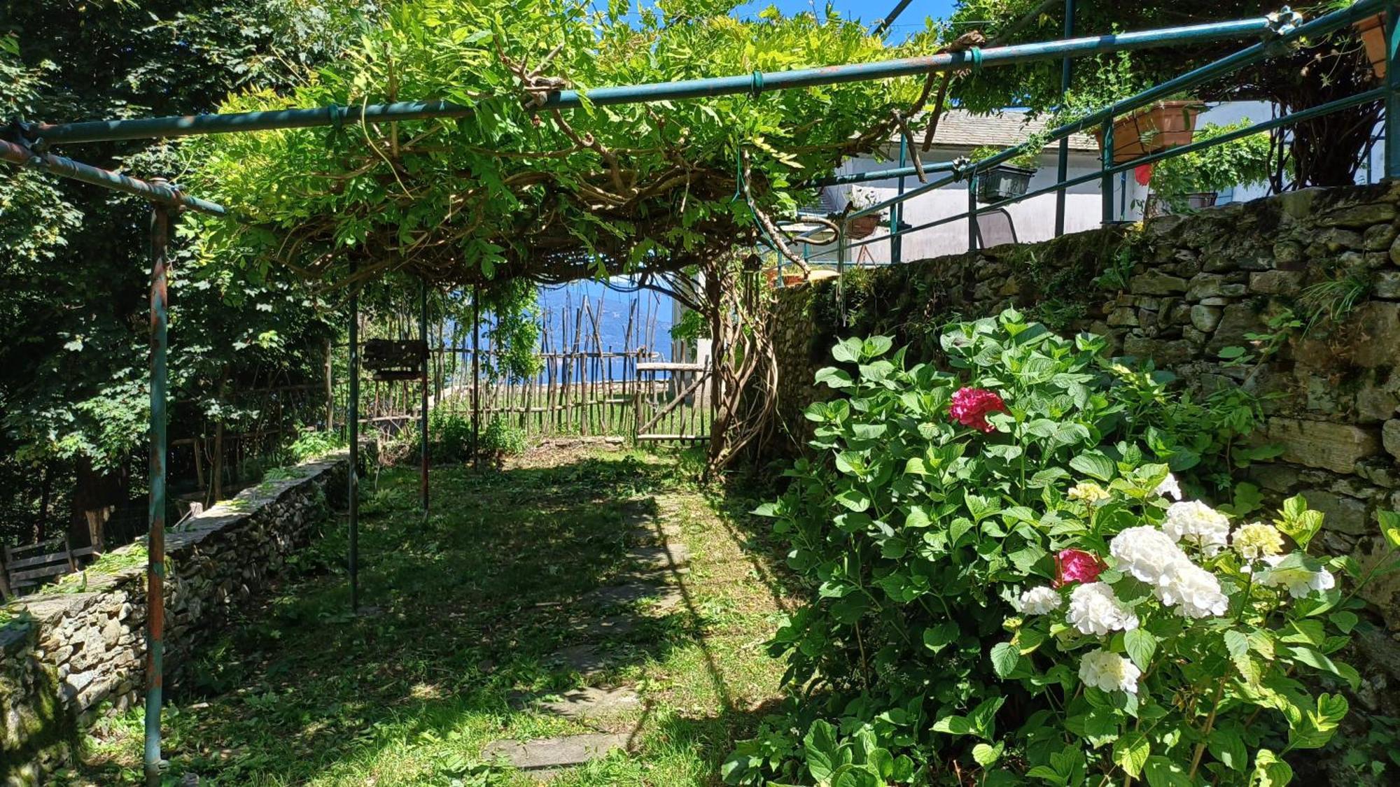 La Stanza Del Bosco Apartment Arcumeggia ภายนอก รูปภาพ
