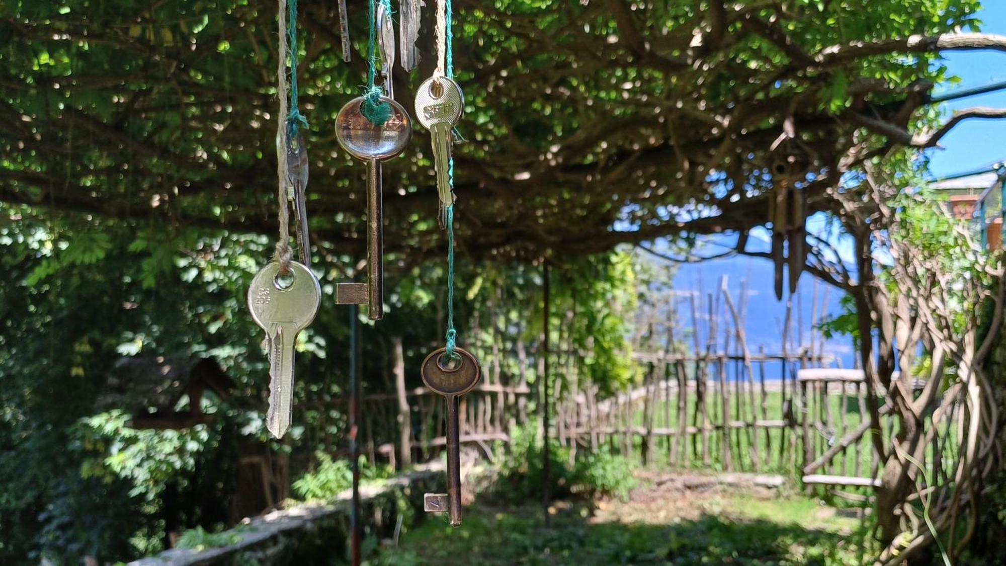 La Stanza Del Bosco Apartment Arcumeggia ภายนอก รูปภาพ